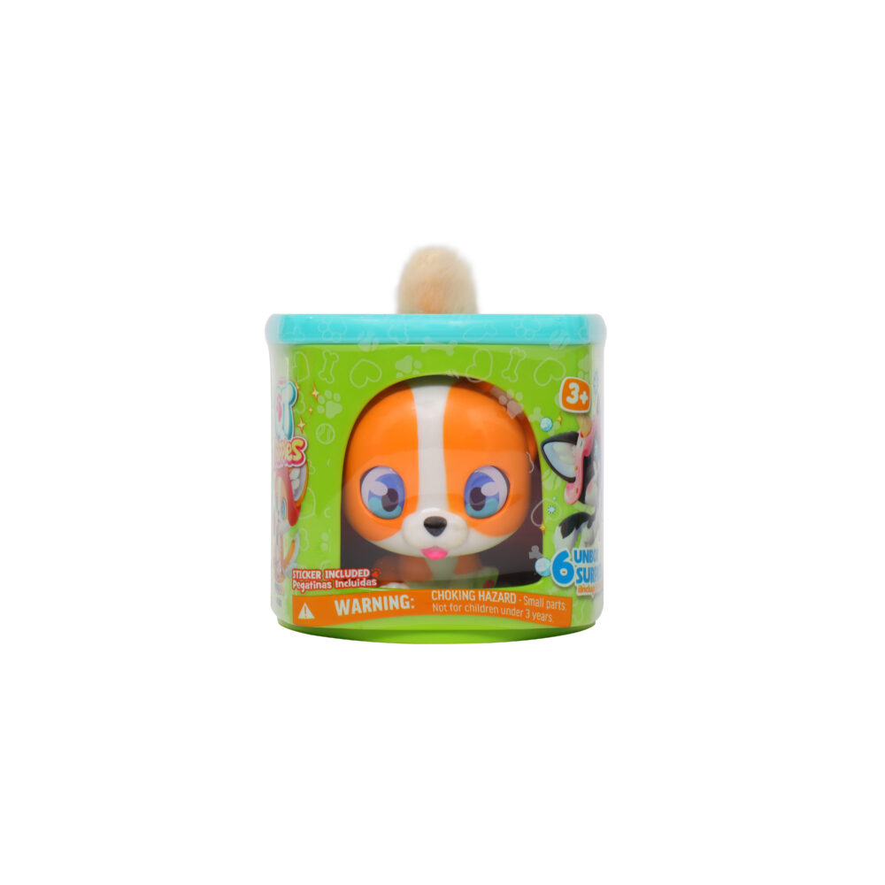 QT Puppies - Imagen 6