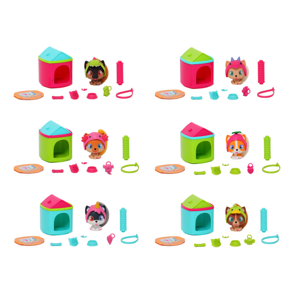 QT Puppies - Imagen 9